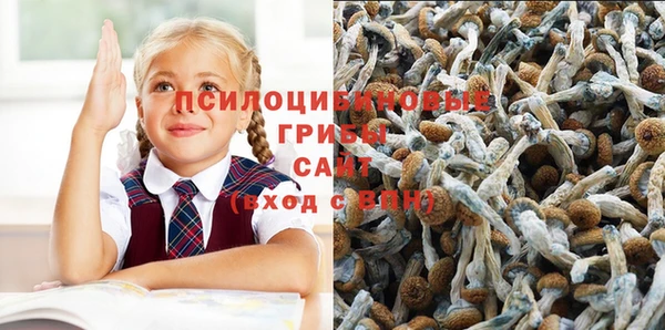 COCAINE Алзамай